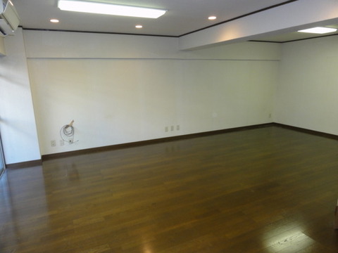 Living and room. LDK