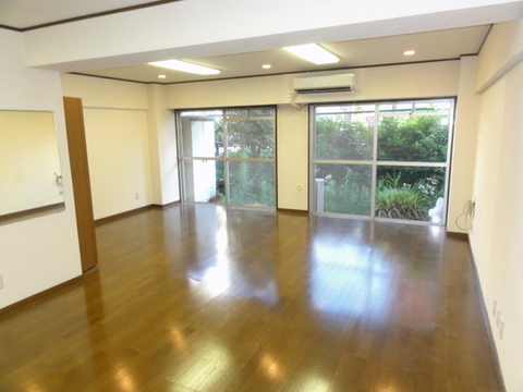 Living and room. Living