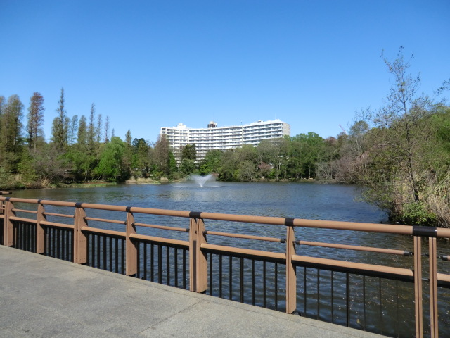 Other. Inokashira Park 400m until the (other)