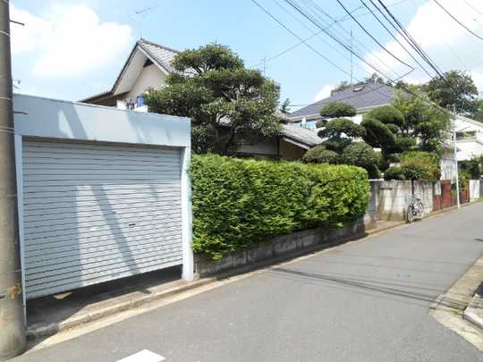 Local land photo. Appearance (taken from the south side)