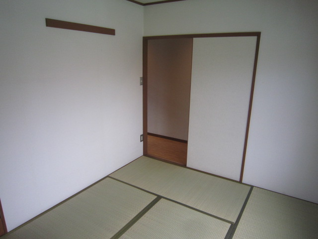 Living and room. Japanese-style room Two-sided lighting