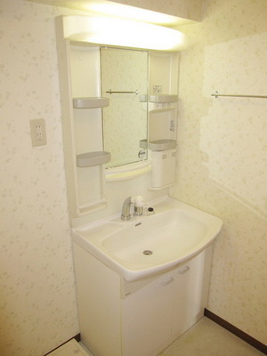 Washroom. Large shampoo dresser