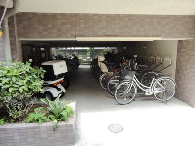 Parking lot. Place for storing bicycles