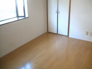 Living and room. 6 Pledge of flooring of the room