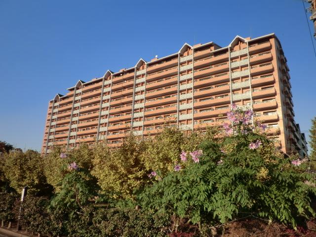 Local appearance photo. Local (11 May 2013) Shooting