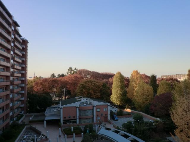 Balcony. Local (11 May 2013) Shooting