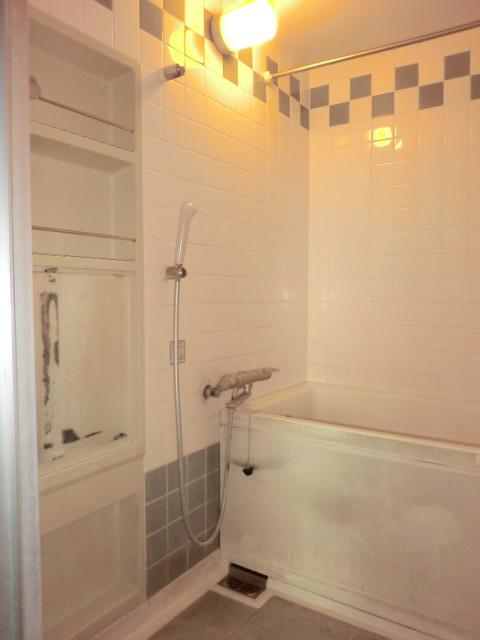 Bathroom. Indoor (11 May 2013) Shooting