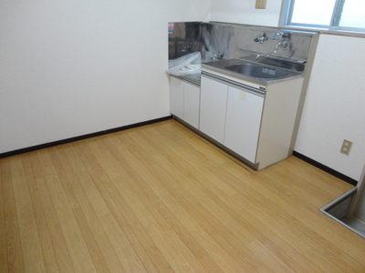 Living and room. Large kitchen space