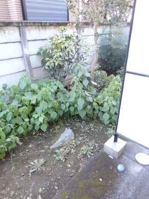 Balcony. Wide balcony