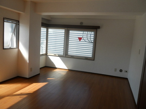 Other room space. Western-style 1 (south side)