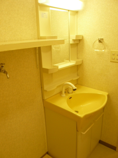 Other Equipment. Shampoo is Dresser! 