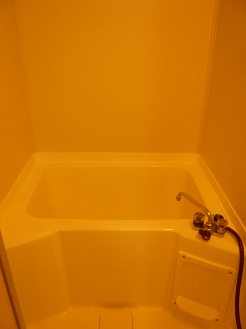 Bath. Bus is a toilet! 