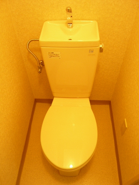 Toilet. It is the restroom! 