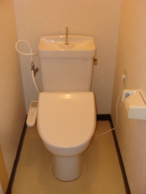 Toilet. Cleaning toilet seat, New equipment