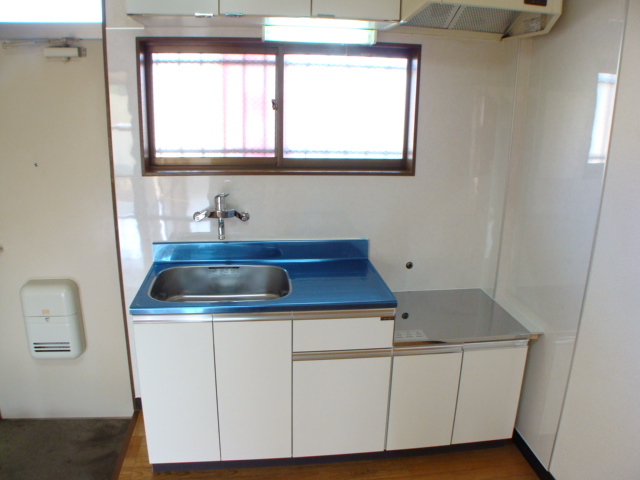 Kitchen. Stylish kitchen panel, Of course sink new