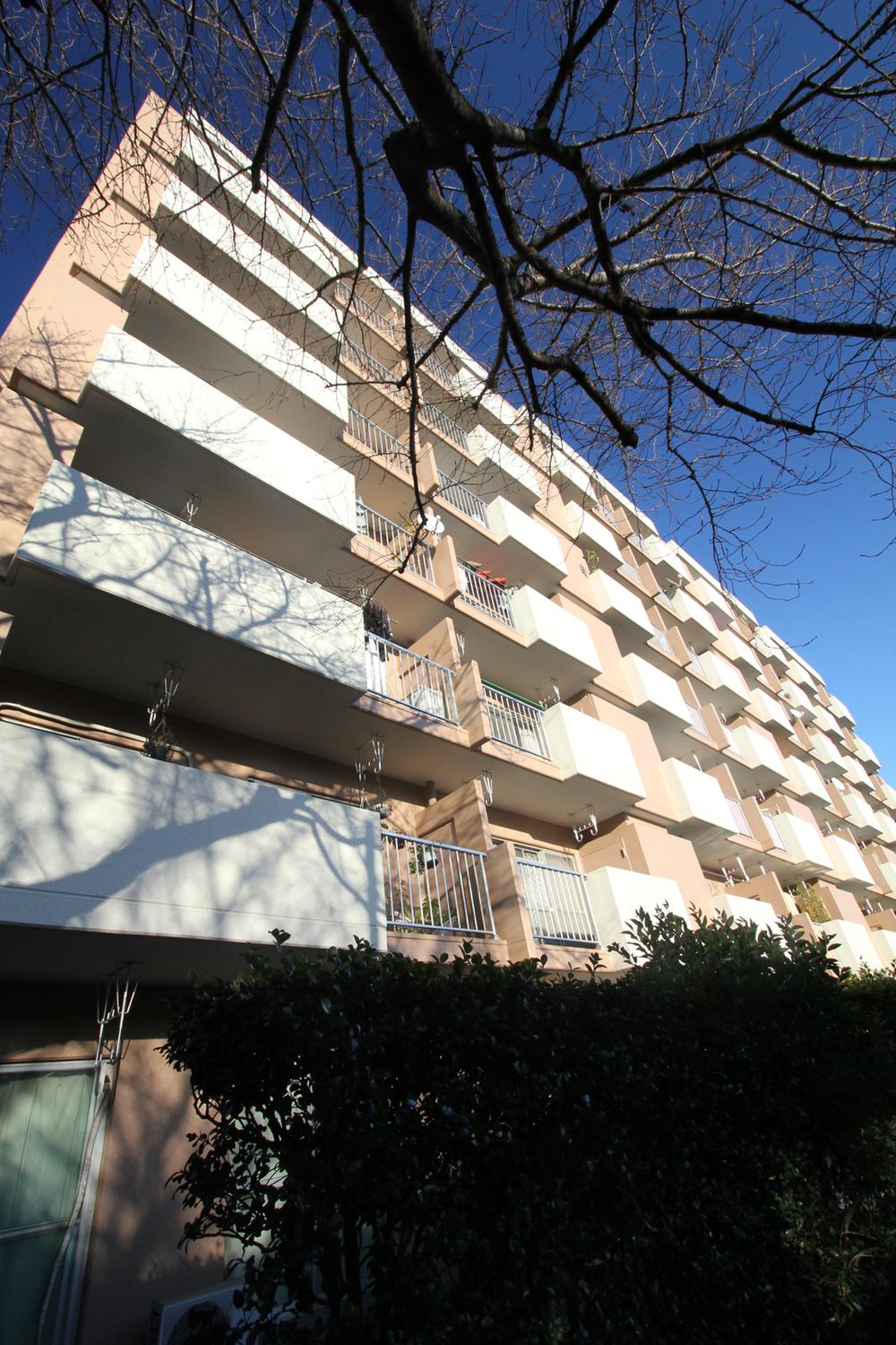 Local appearance photo. Cherry trees along the!