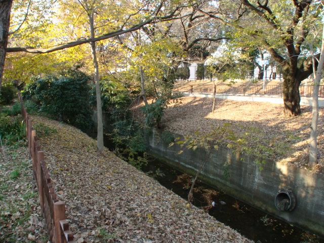 Other local. In front of the local eyes Tamagawa