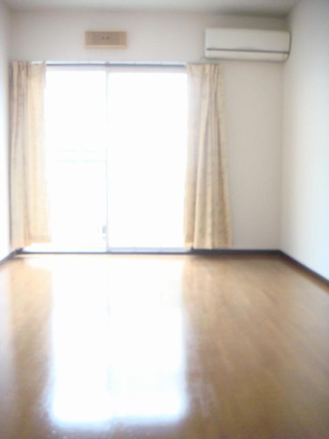 Living and room. Flooring of the room