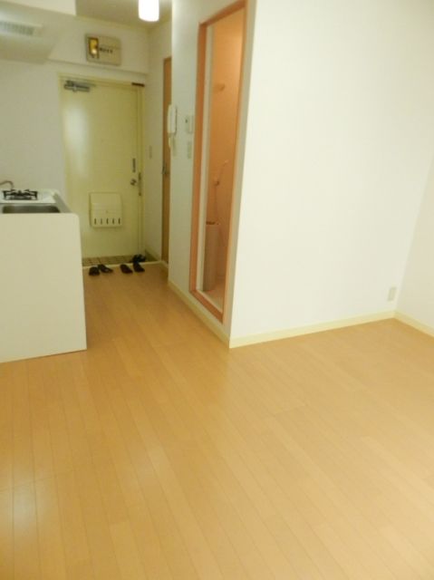 Living and room. 1R rooms