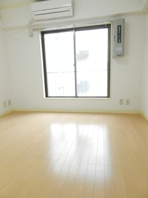 Living and room. Flooring of the room