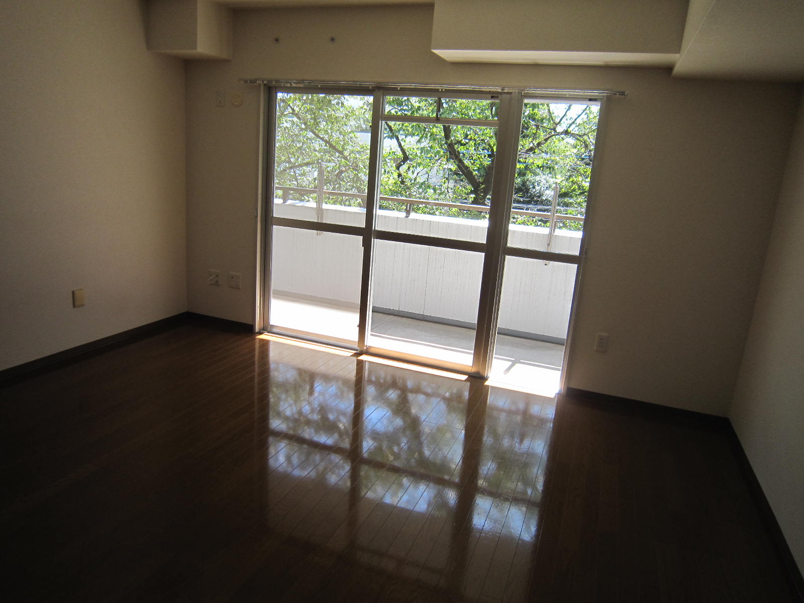 Living and room. Living