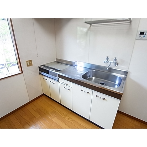 Kitchen. Two-burner stove IH new exchange