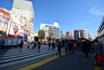 Other. 1200m to the station (Other)