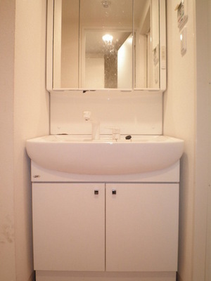 Washroom. Happy in a busy morning, Shampoo with Dresser.