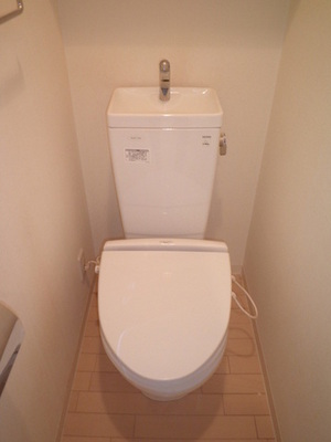 Toilet. Warm with warm toilet function