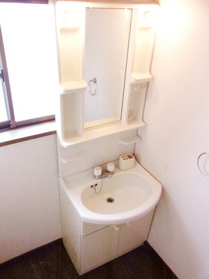 Washroom. Independent wash basin