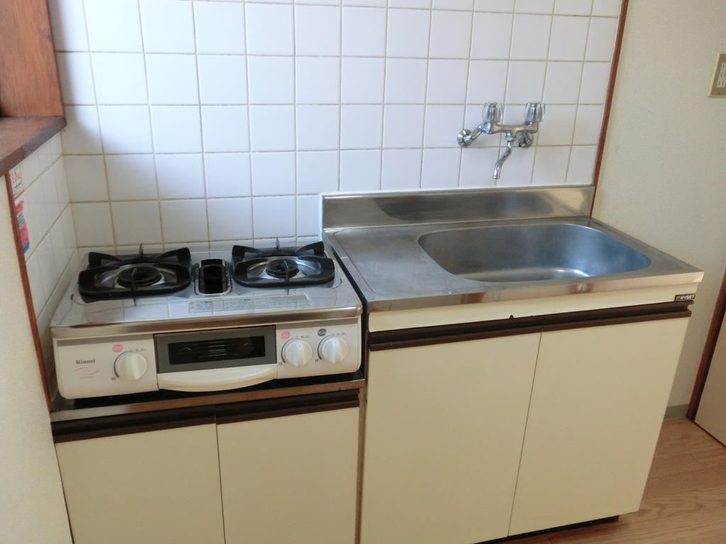 Kitchen. Two-burner gas stove correspondence (Photo: Room 101 of the same type)