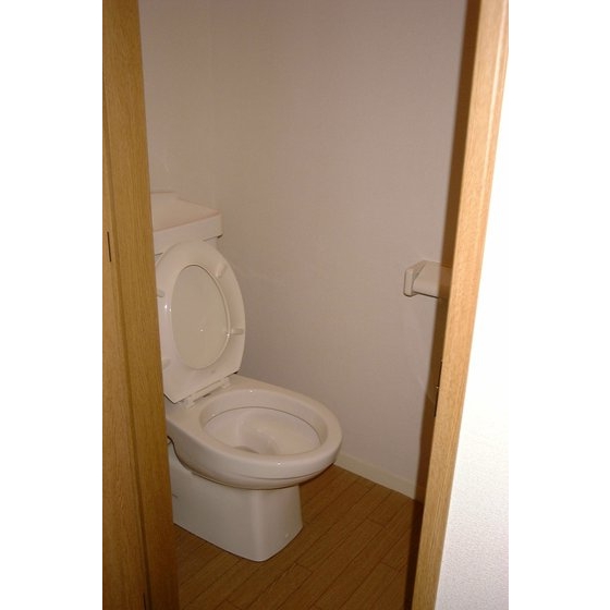 Washroom. Toilet