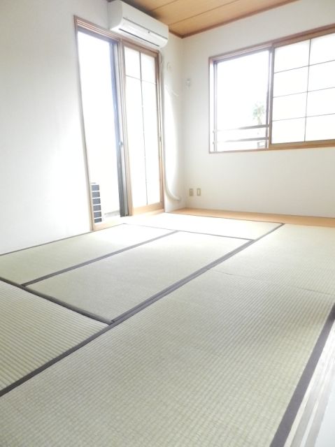 Living and room. Two-sided lighting