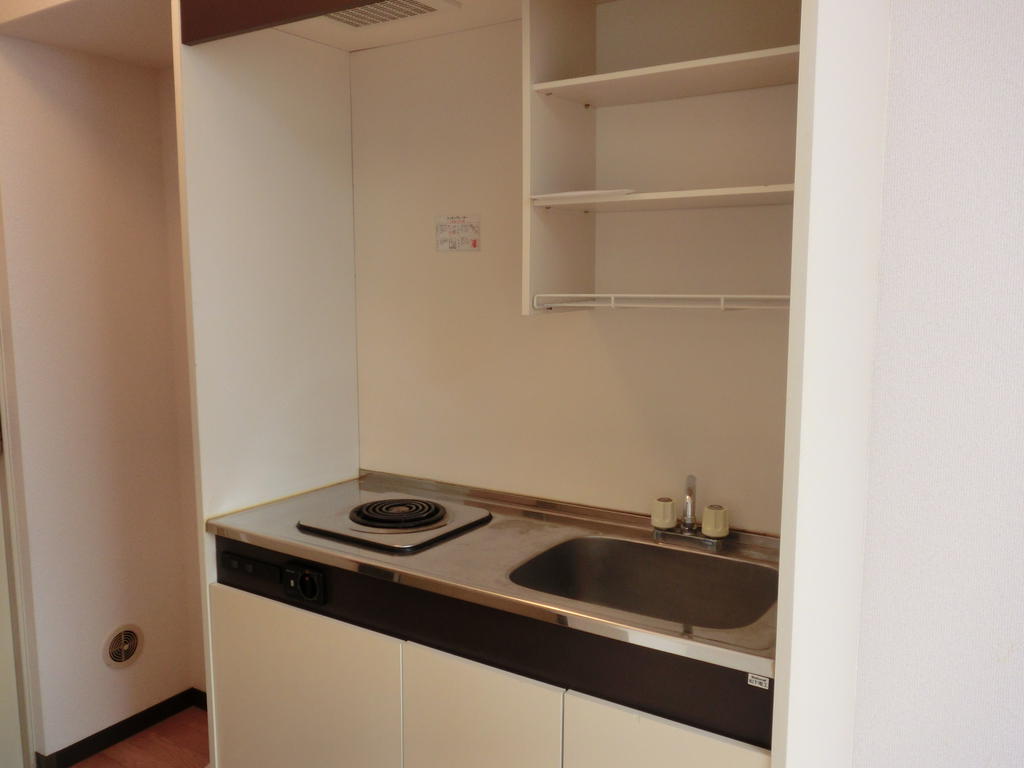 Kitchen. Kitchen (electric stove)