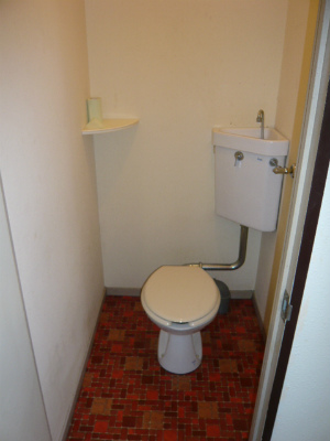 Toilet. It is a flush toilet!