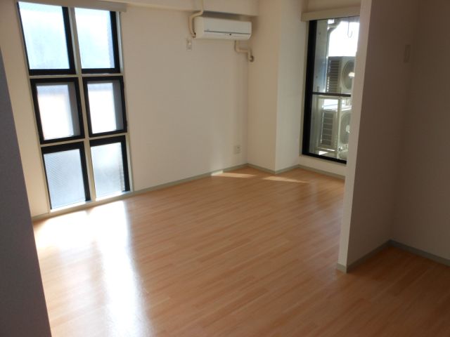 Living and room. Bright living room with many windows