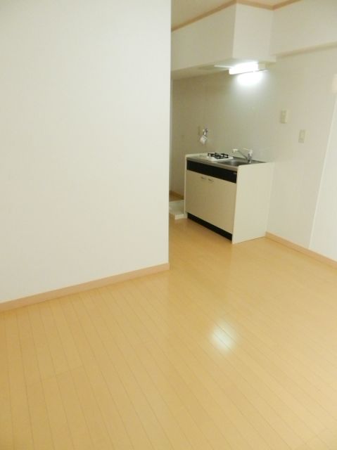 Living and room. Flooring of the room