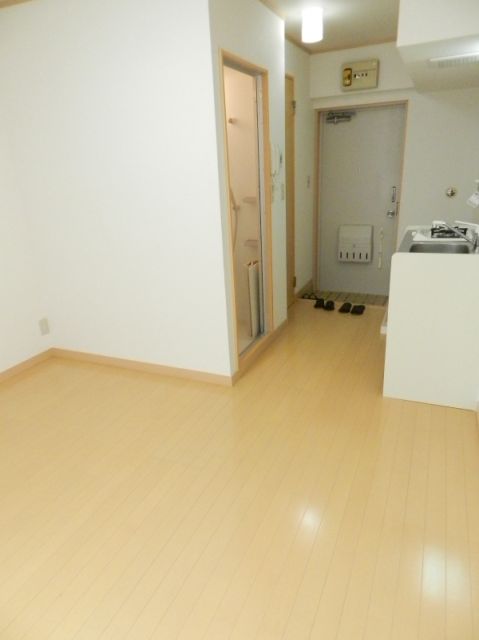 Living and room. 1R rooms