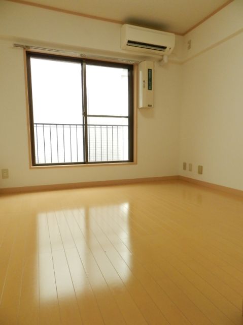 Living and room. Flooring of the room