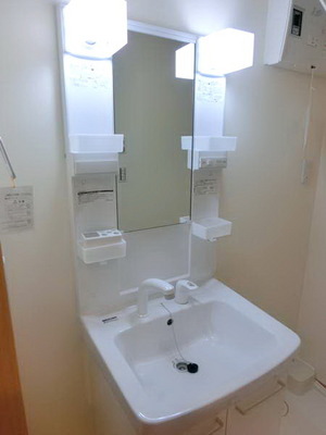 Washroom. Independent wash basin