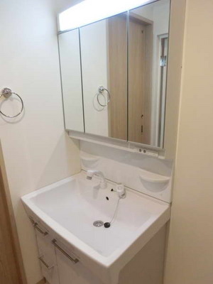 Washroom. Independent wash basin