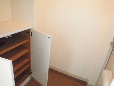 Entrance. Entrance footwear input