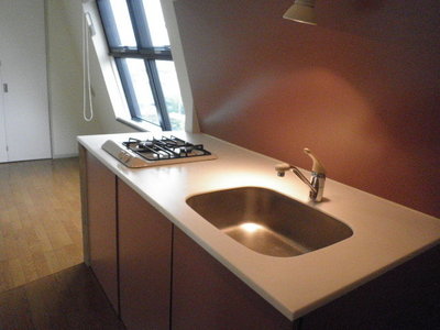 Kitchen. Stylish window with system Kitchen