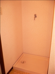 Washroom. Washing machine in the room