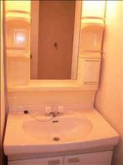 Washroom. Bathroom vanity