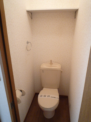 Toilet. Flush toilet