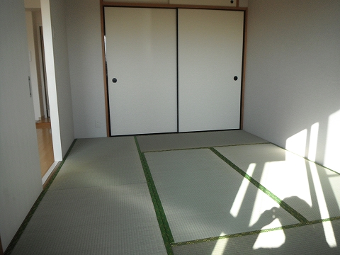 Living and room. Enter warm very bright indoor sun