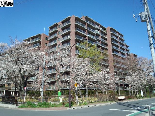 Local appearance photo. Sakurazutsumi garden fascia W Togaikan