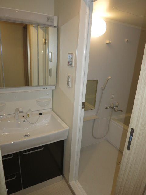 Washroom. Basin is a vanity with a shower head. 