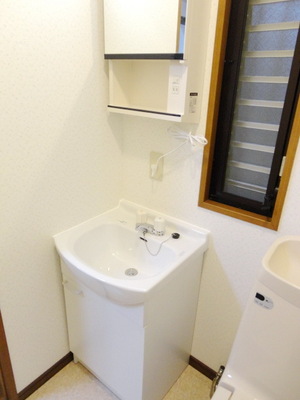 Washroom. Independent wash basin